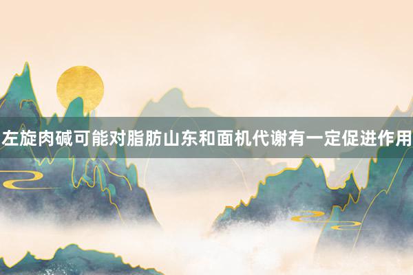 左旋肉碱可能对脂肪山东和面机代谢有一定促进作用