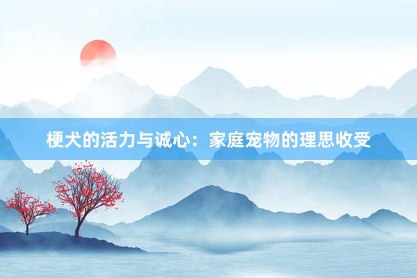 梗犬的活力与诚心：家庭宠物的理思收受