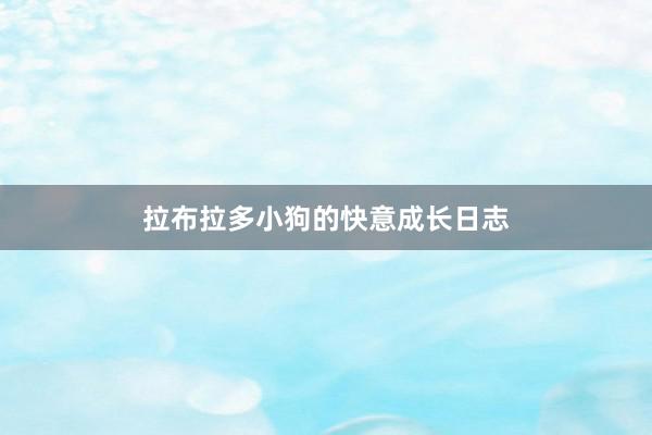 拉布拉多小狗的快意成长日志