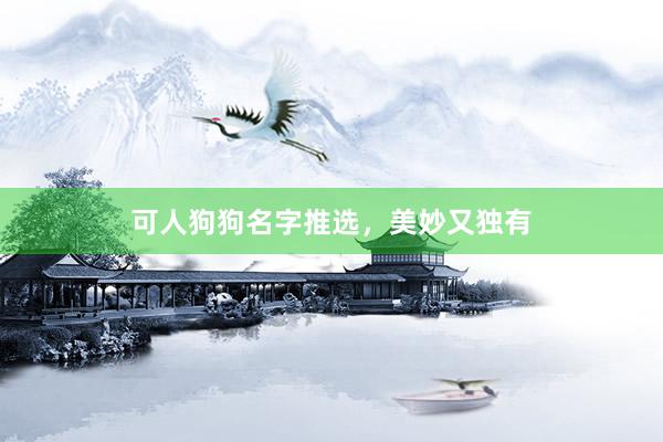 可人狗狗名字推选,美妙又独有